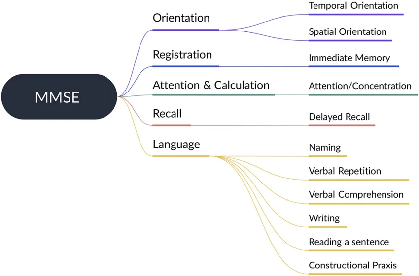 Core Elements of Mental Status Exam