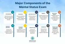 Overview Diagram of Mental Status Exam Components