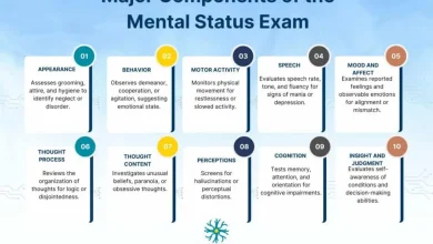 Overview Diagram of Mental Status Exam Components