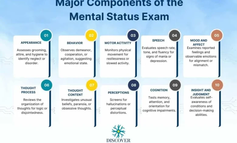 Overview Diagram of Mental Status Exam Components
